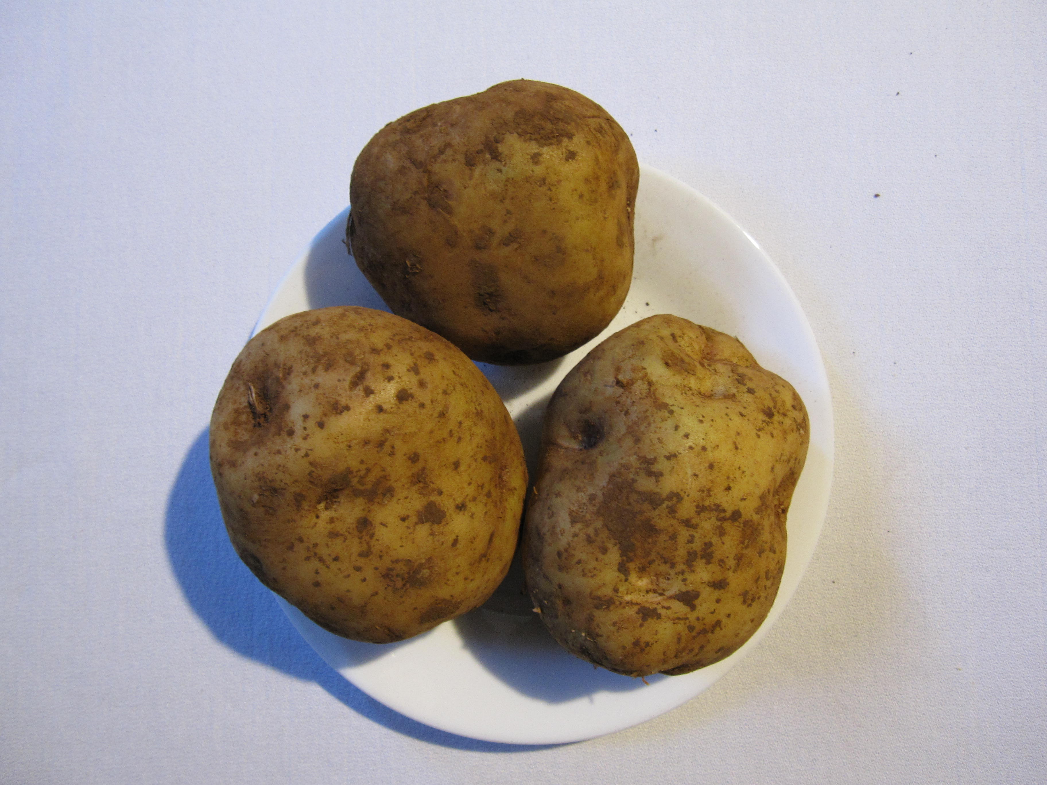 raw potatoes