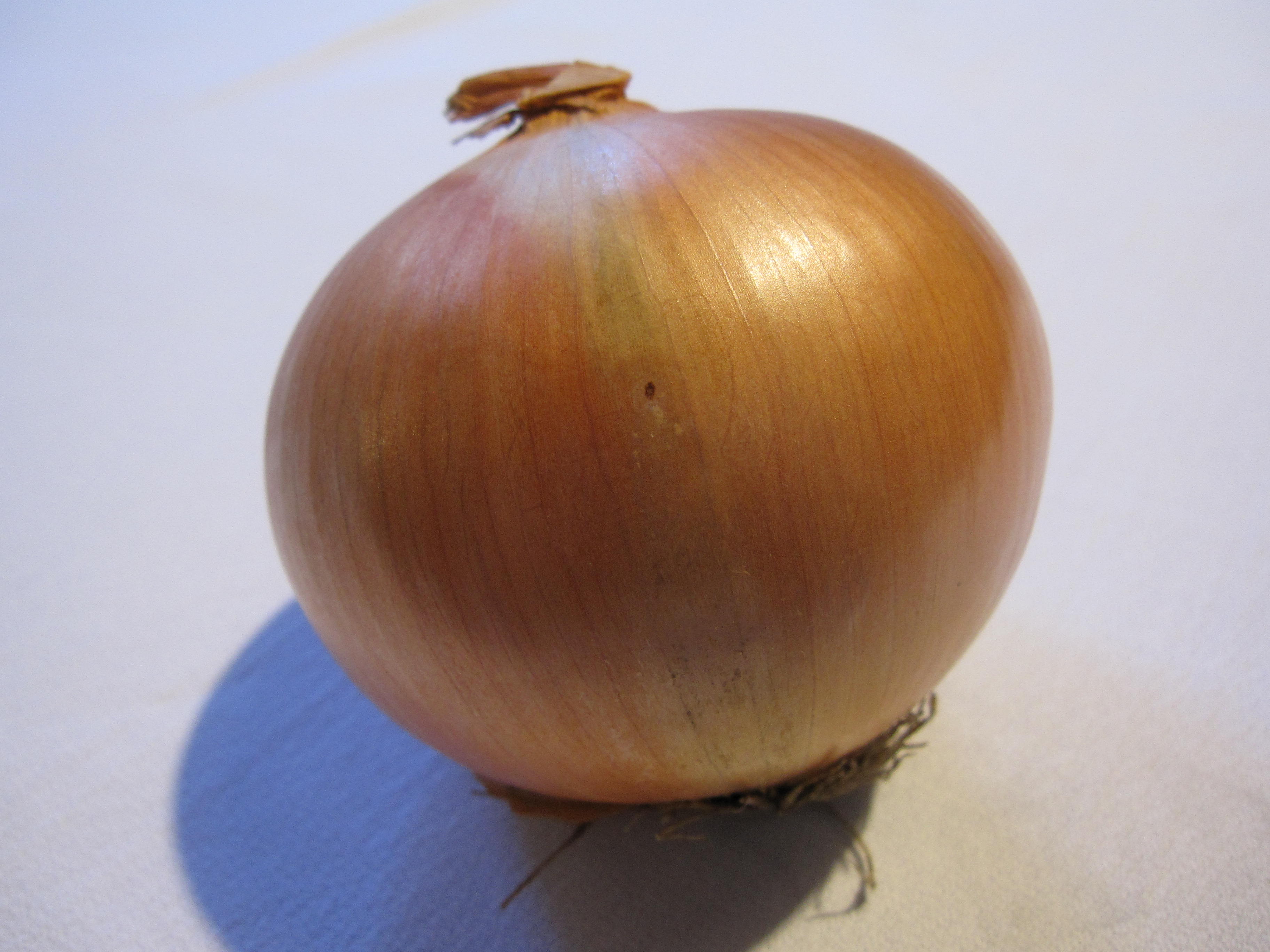 Onion