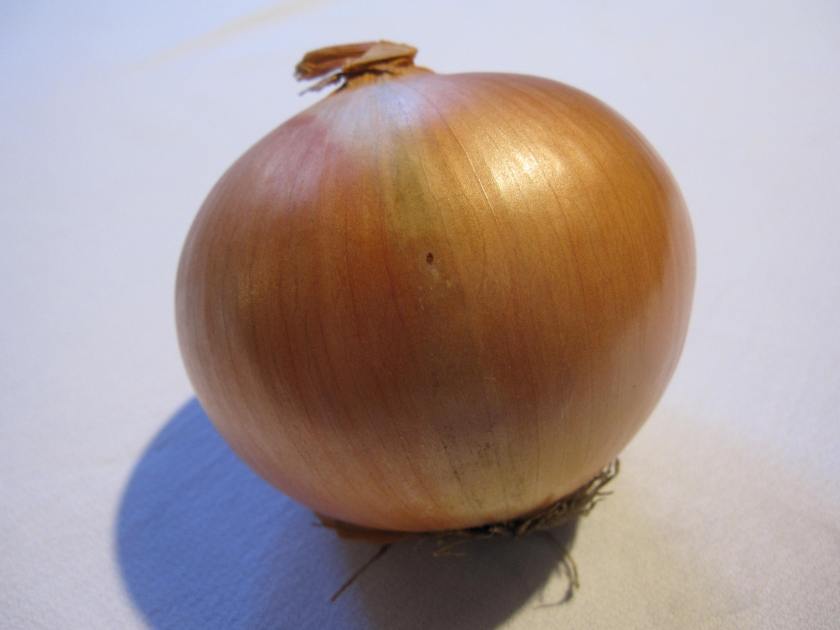 Onion